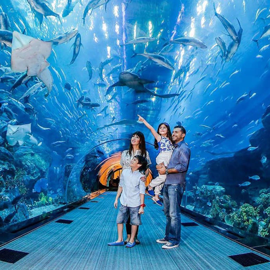 آکواریوم دبی مال