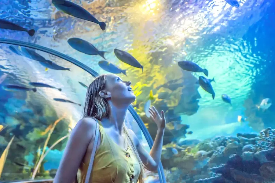 آکواریوم دبی مال