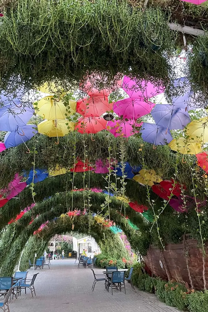 باغ پروانه دبی