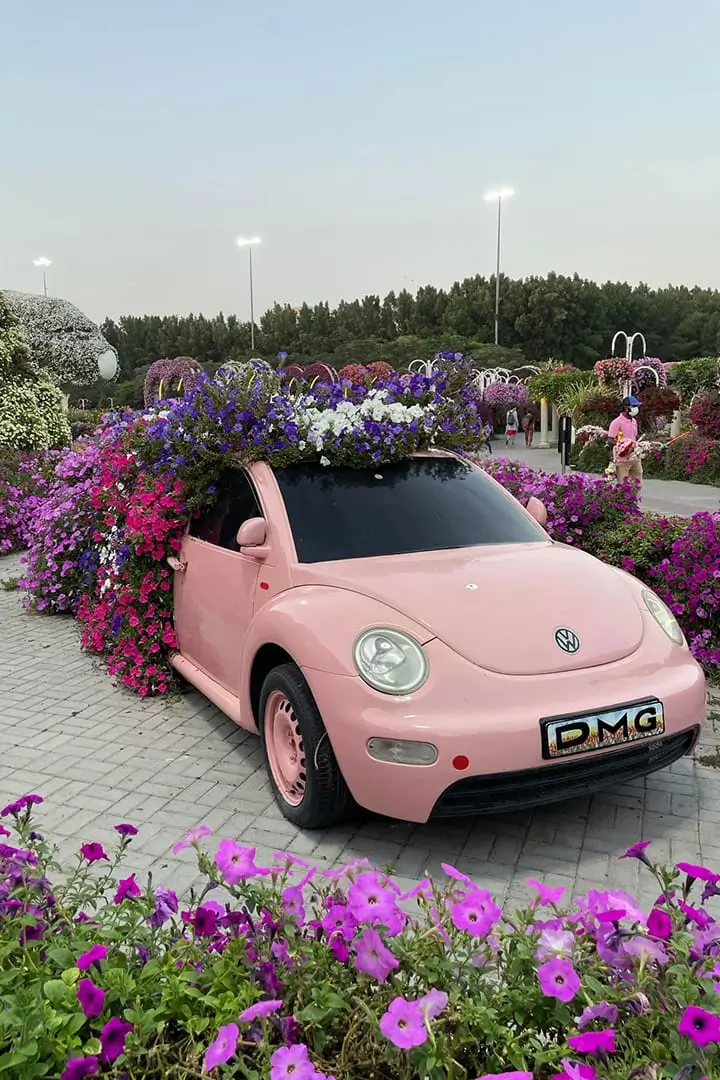 باغ پروانه دبی