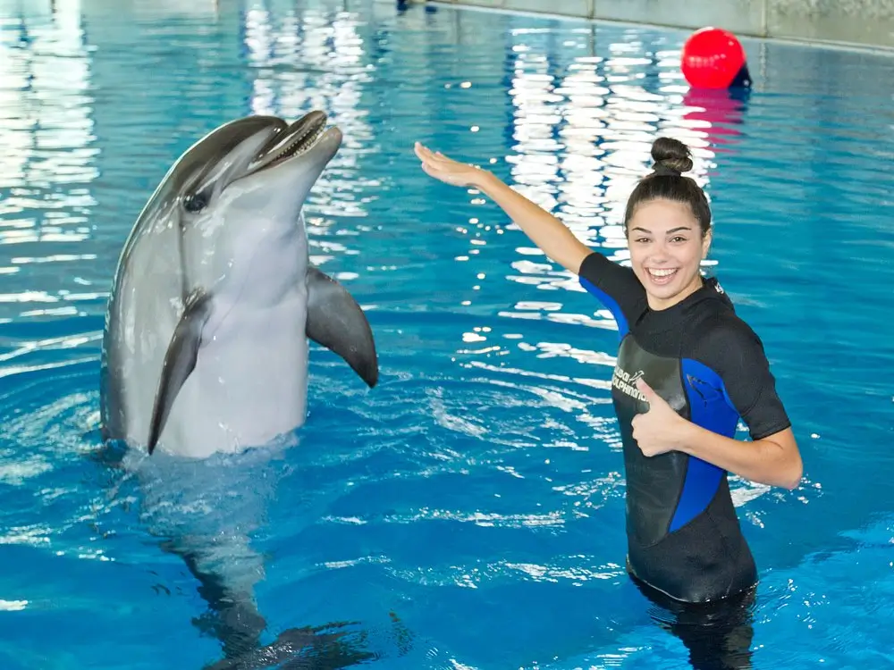 دلفیناریوم دبی